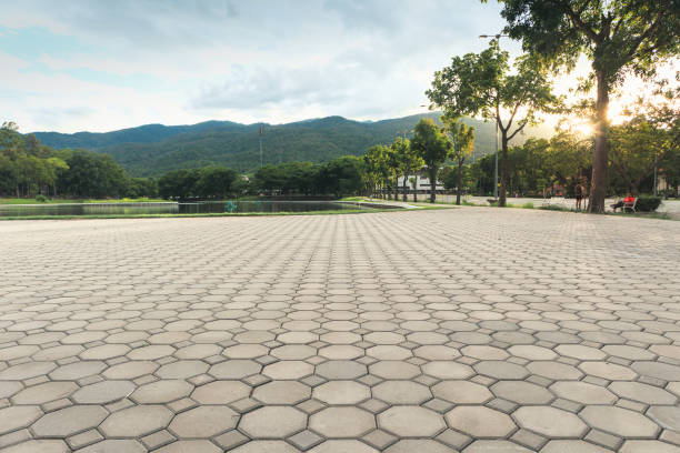 Best Residential Paver Driveway  in Okanogan, WA